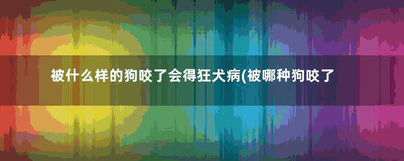 被什么样的狗咬了会得狂犬病(被哪种狗咬了会得狂犬病)