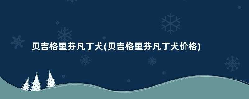 贝吉格里芬凡丁犬(贝吉格里芬凡丁犬价格)