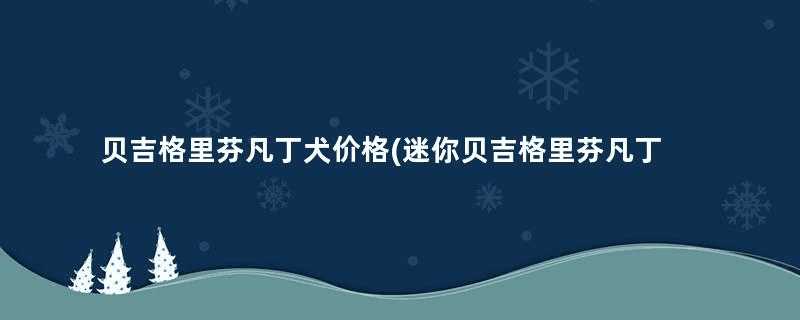 贝吉格里芬凡丁犬价格(迷你贝吉格里芬凡丁犬价格)