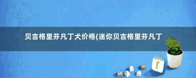 贝吉格里芬凡丁犬价格(迷你贝吉格里芬凡丁犬)