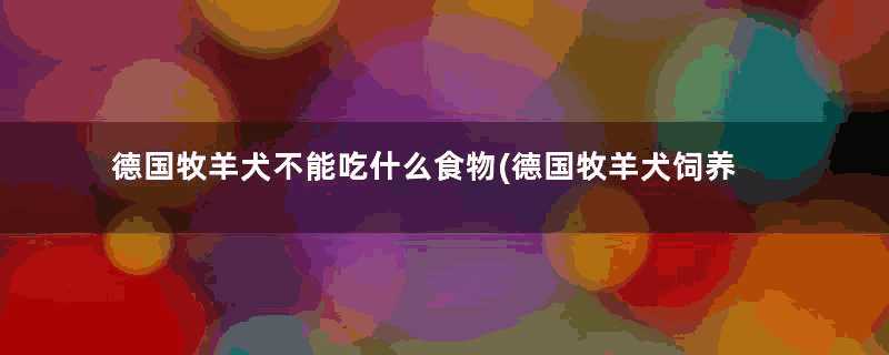 德国牧羊犬不能吃什么食物(德国牧羊犬饲养注意事项)