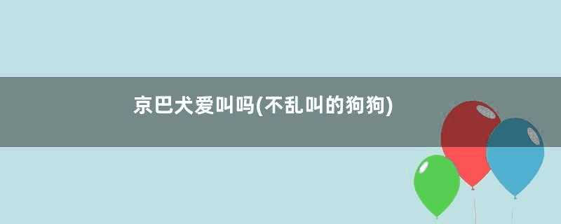 京巴犬爱叫吗(不乱叫的狗狗)