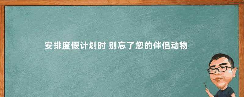 安排度假计划时 别忘了您的伴侣动物