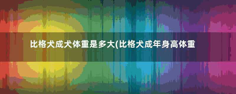 比格犬成犬体重是多大(比格犬成年身高体重是多少)