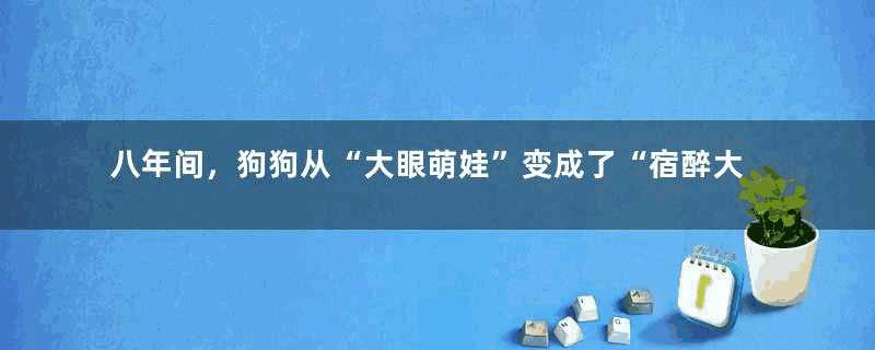 八年间，狗狗从“大眼萌娃”变成了“宿醉大叔”