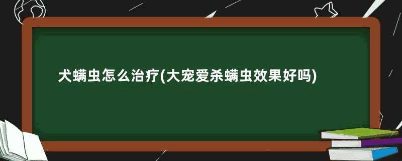 犬螨虫怎么治疗(大宠爱杀螨虫效果好吗)