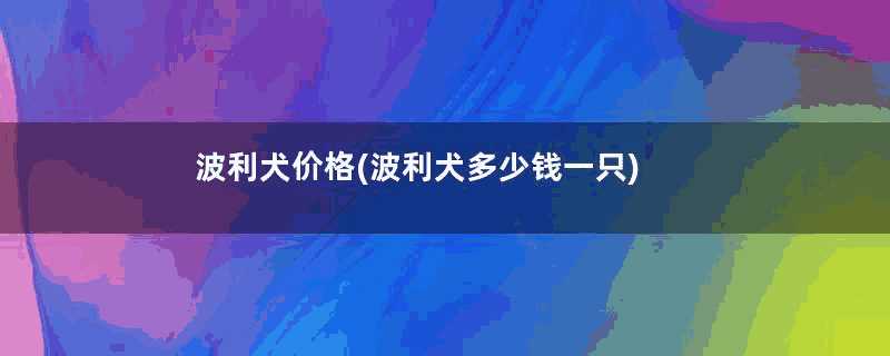 波利犬价格(波利犬多少钱一只)