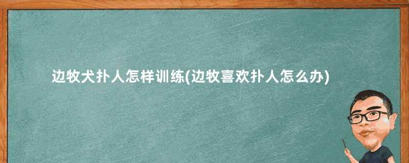 边牧犬扑人怎样训练(边牧喜欢扑人怎么办)