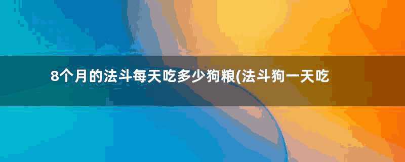 8个月的法斗每天吃多少狗粮(法斗狗一天吃几次一次多少)