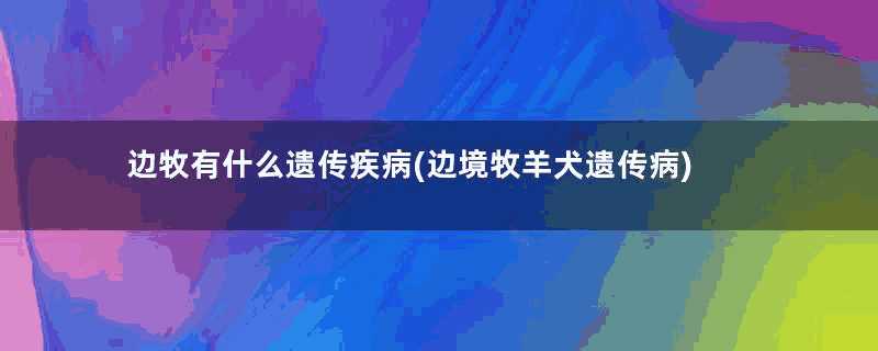 边牧有什么遗传疾病(边境牧羊犬遗传病)