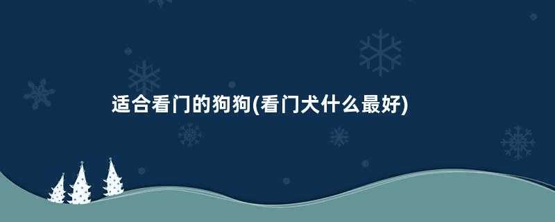 适合看门的狗狗(看门犬什么最好)