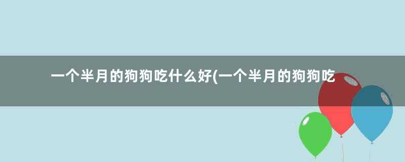 一个半月的狗狗吃什么好(一个半月的狗狗吃什么零食)