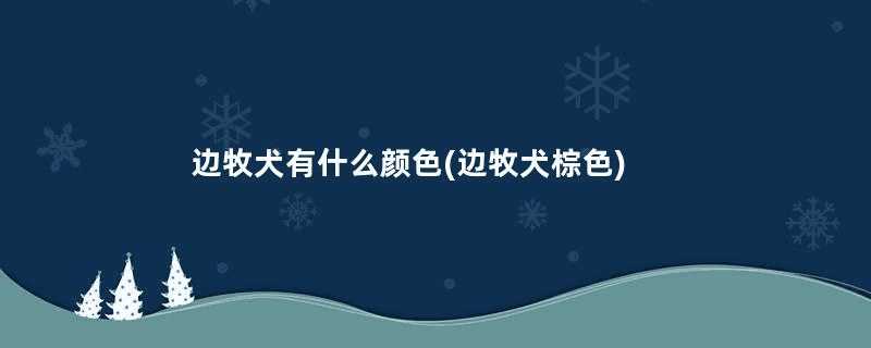 边牧犬有什么颜色(边牧犬棕色)