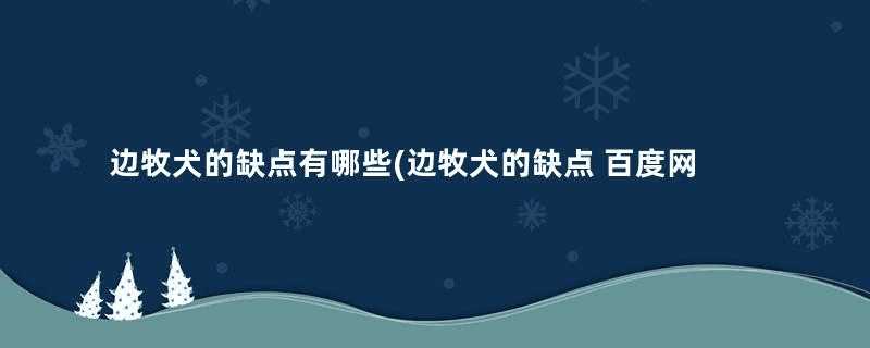 边牧犬的缺点有哪些(边牧犬的缺点 百度网盘)