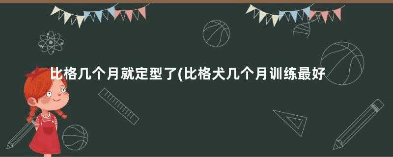 比格几个月就定型了(比格犬几个月训练最好)