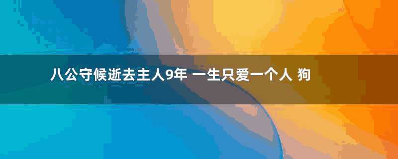 八公守候逝去主人9年 一生只爱一个人 狗狗做到了