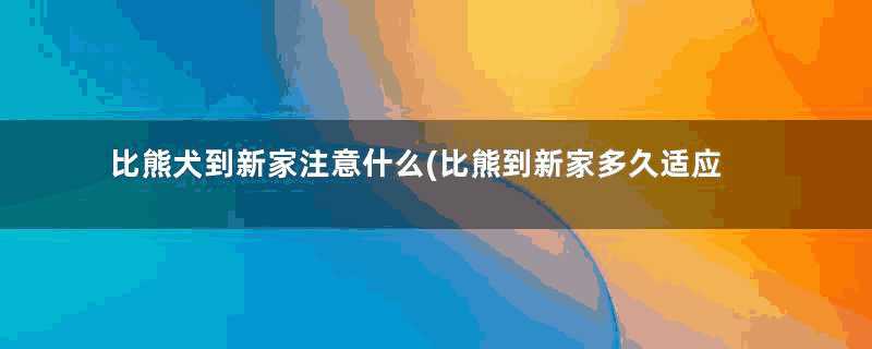 比熊犬到新家注意什么(比熊到新家多久适应)