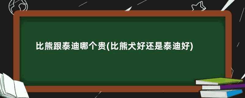 比熊跟泰迪哪个贵(比熊犬好还是泰迪好)