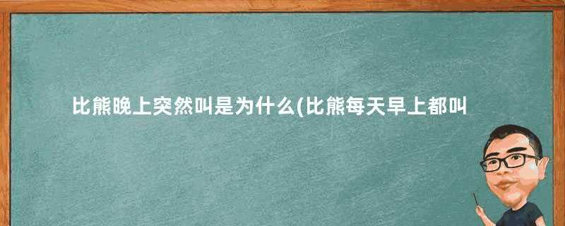 比熊晚上突然叫是为什么(比熊每天早上都叫怎么办)