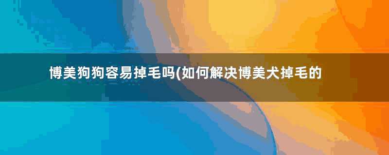 博美狗狗容易掉毛吗(如何解决博美犬掉毛的问题)