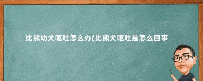 比熊幼犬呕吐怎么办(比熊犬呕吐是怎么回事)