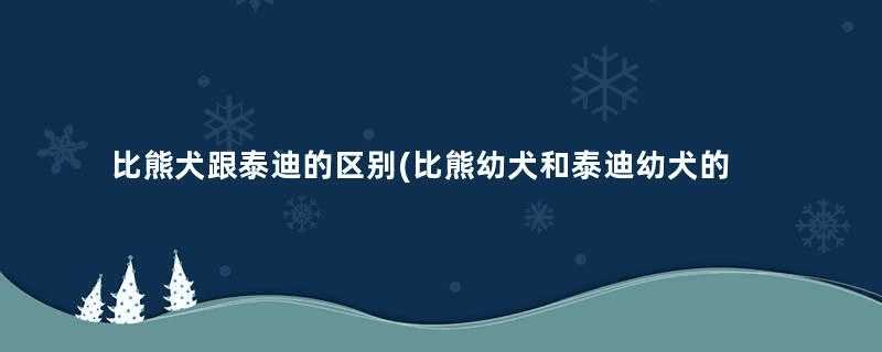 比熊犬跟泰迪的区别(比熊幼犬和泰迪幼犬的区别)