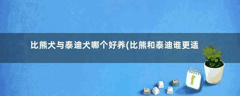 比熊犬与泰迪犬哪个好养(比熊和泰迪谁更适合家养)