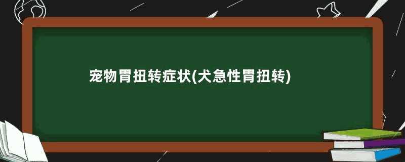 宠物胃扭转症状(犬急性胃扭转)