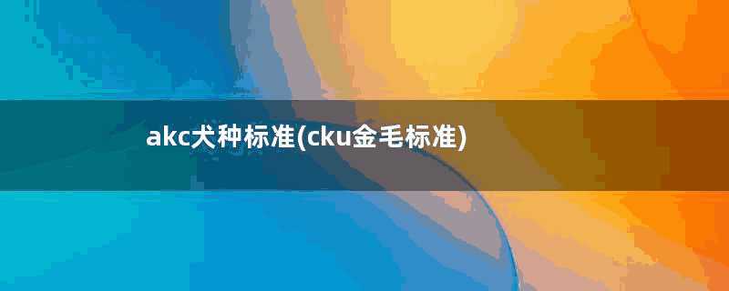 akc犬种标准(cku金毛标准)