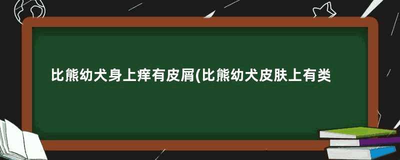 比熊幼犬身上痒有皮屑(比熊幼犬皮肤上有类似头皮屑)