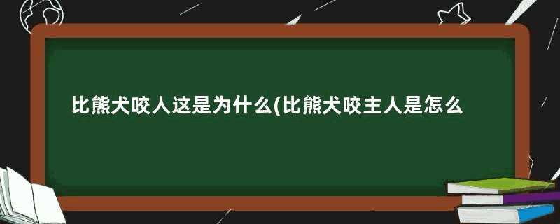 比熊犬咬人这是为什么(比熊犬咬主人是怎么回事)