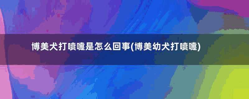 博美犬打喷嚏是怎么回事(博美幼犬打喷嚏)