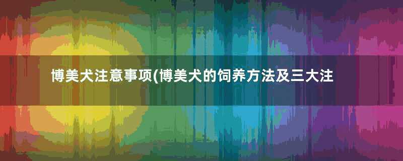 博美犬注意事项(博美犬的饲养方法及三大注意事项)