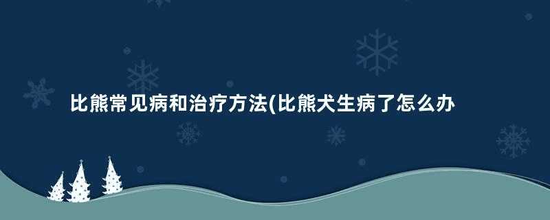 比熊常见病和治疗方法(比熊犬生病了怎么办)