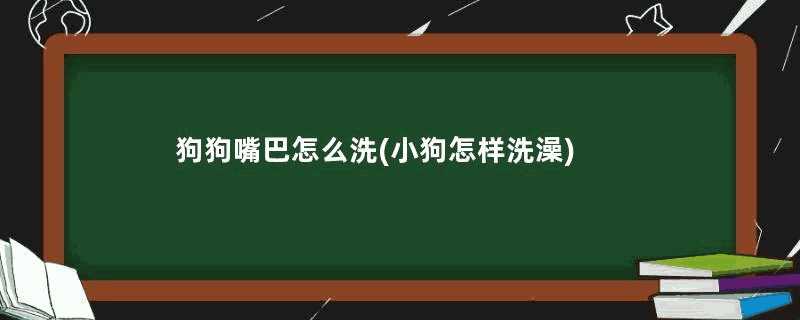 狗狗嘴巴怎么洗(小狗怎样洗澡)