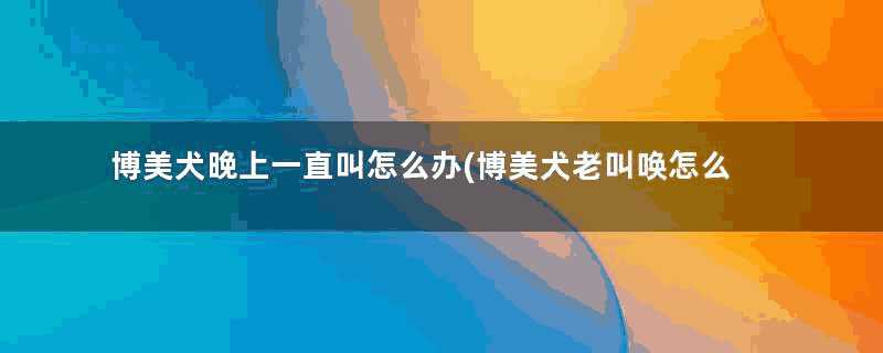 博美犬晚上一直叫怎么办(博美犬老叫唤怎么回事)