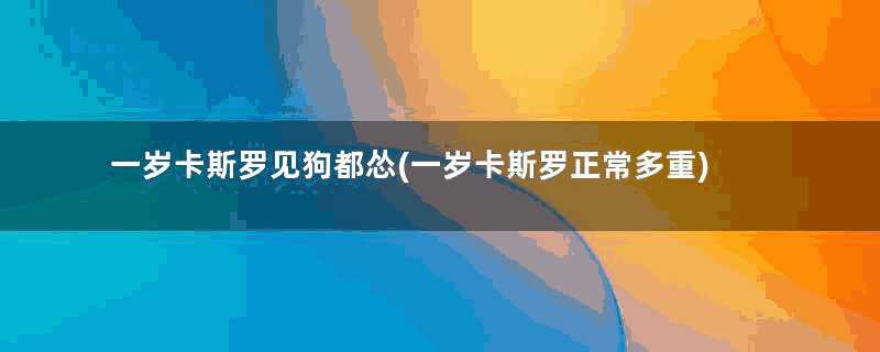 一岁卡斯罗见狗都怂(一岁卡斯罗正常多重)