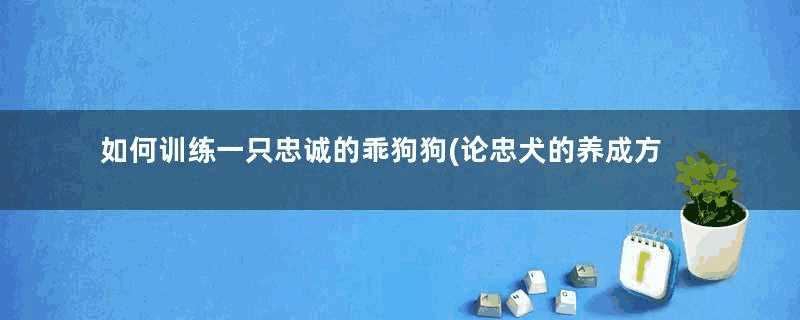 如何训练一只忠诚的乖狗狗(论忠犬的养成方式)