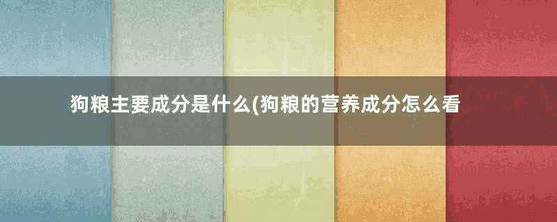 狗粮主要成分是什么(狗粮的营养成分怎么看)