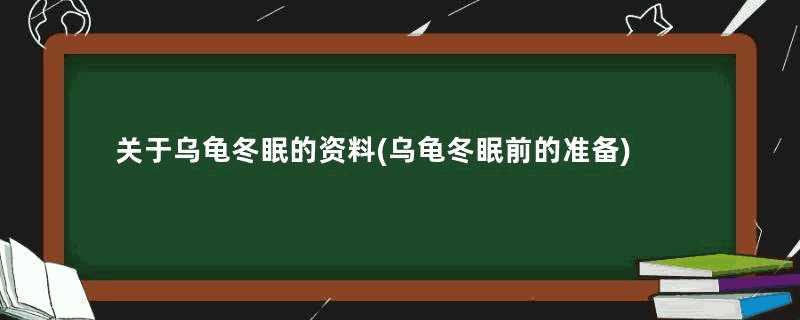 关于乌龟冬眠的资料(乌龟冬眠前的准备)