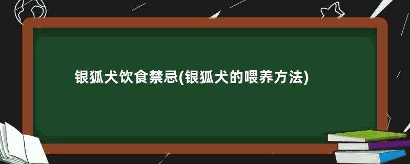 银狐犬饮食禁忌(银狐犬的喂养方法)