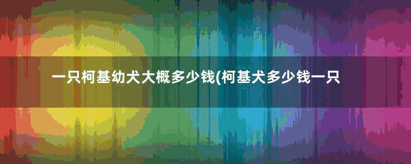 一只柯基幼犬大概多少钱(柯基犬多少钱一只幼犬)