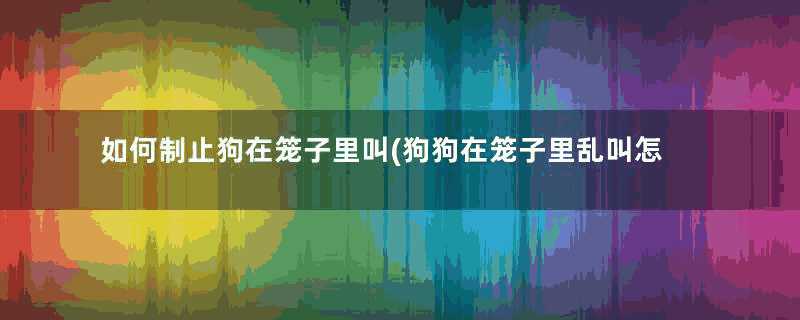 如何制止狗在笼子里叫(狗狗在笼子里乱叫怎么办)