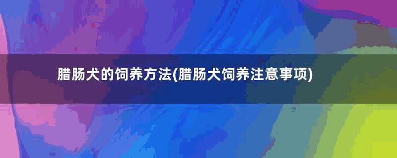 腊肠犬的饲养方法(腊肠犬饲养注意事项)