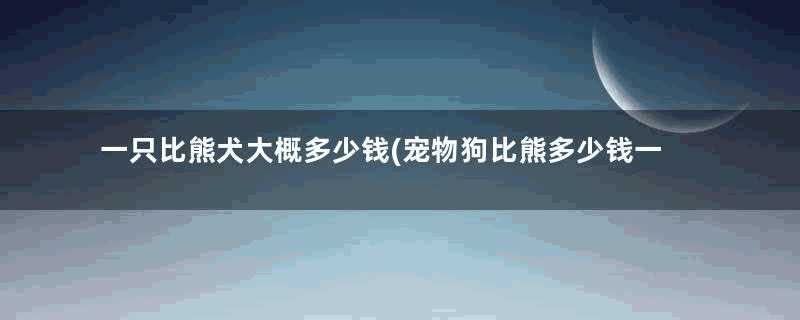 一只比熊犬大概多少钱(宠物狗比熊多少钱一只)