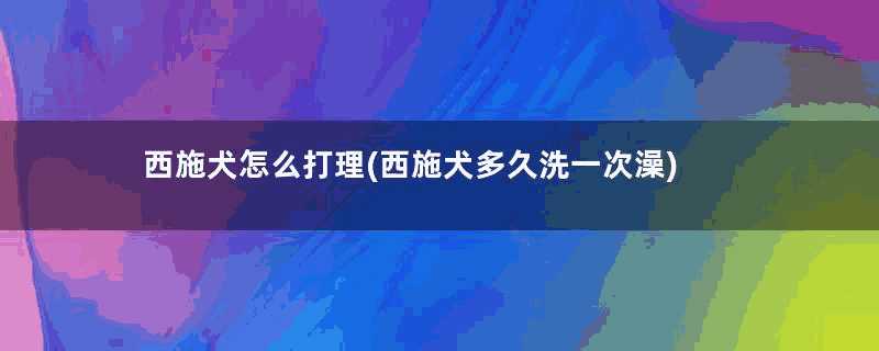 西施犬怎么打理(西施犬多久洗一次澡)