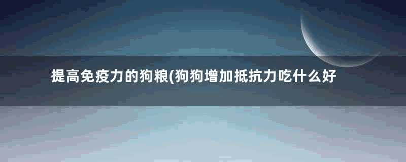 提高免疫力的狗粮(狗狗增加抵抗力吃什么好)