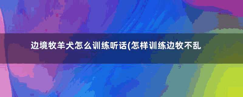 边境牧羊犬怎么训练听话(怎样训练边牧不乱叫)