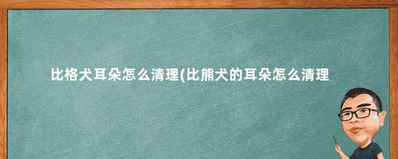 比格犬耳朵怎么清理(比熊犬的耳朵怎么清理)