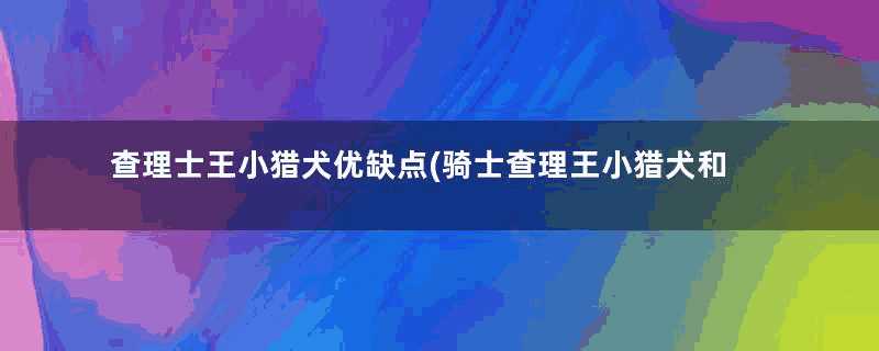 查理士王小猎犬优缺点(骑士查理王小猎犬和查理王小猎犬的区别)